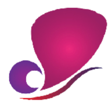 Dazzling Crative Studio-Web and Graphic designing  company in CHennai