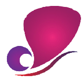 Web Designing Company in Chennai